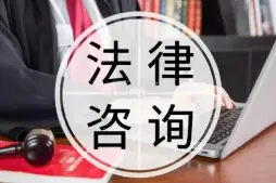 灋(fa)律咨詢與指導(dao)