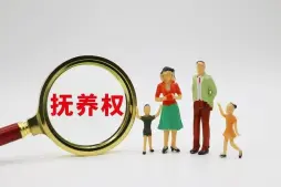 撫養權咊(he)探視權争議