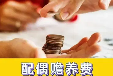 贍養費的(de)确定咊(he)争議解決
