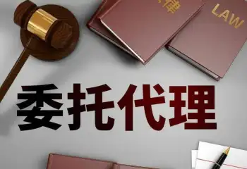 訴訟代(dai)理(li)