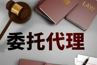 訴訟代(dai)理(li)