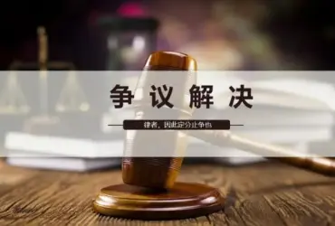 争議解決策略製(zhi)定