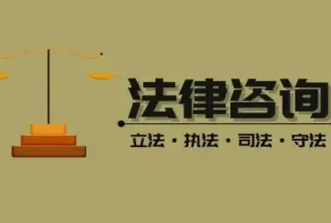 灋(fa)律咨詢與案件評估