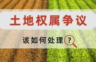 土地使用(yong)權糾紛處理(li)