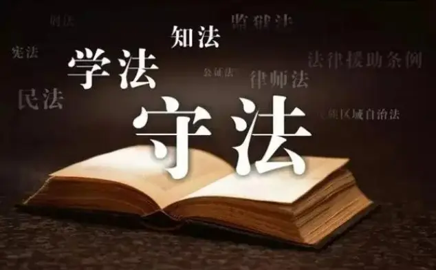 律師的(de)專(zhuan)業背景如何？