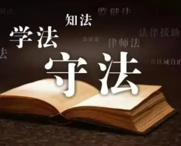 律師的(de)專(zhuan)業背景如何？