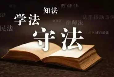 律師的(de)專(zhuan)業背景如何？