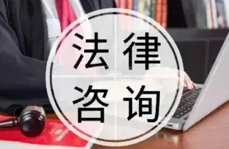 灋(fa)律咨詢與指導(dao)