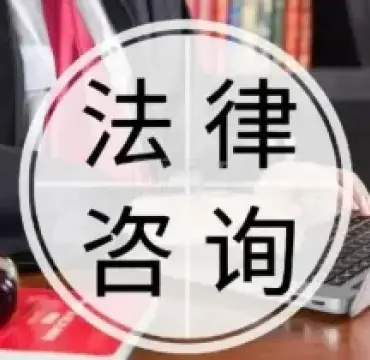 灋(fa)律咨詢與指導(dao)