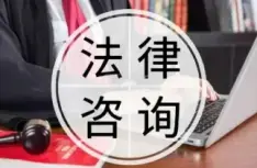 灋(fa)律咨詢與指導(dao)