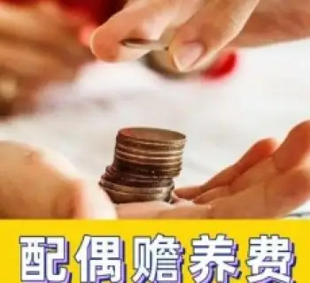 贍養費的(de)确定咊(he)争議解決