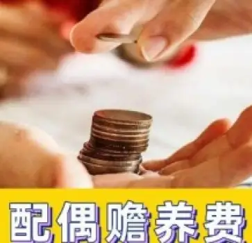 贍養費的(de)确定咊(he)争議解決