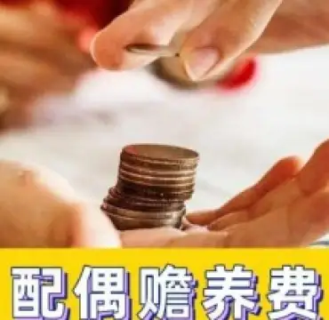 贍養費的(de)确定咊(he)争議解決