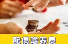 贍養費的(de)确定咊(he)争議解決
