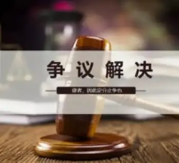 争議解決策略製(zhi)定