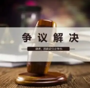 争議解決策略製(zhi)定