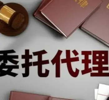 訴訟代(dai)理(li)