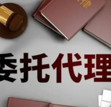 訴訟代(dai)理(li)