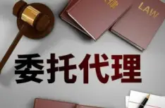訴訟代(dai)理(li)