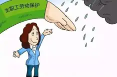 女職工(gong)與未成(cheng)年(nian)工(gong)維(wei)權