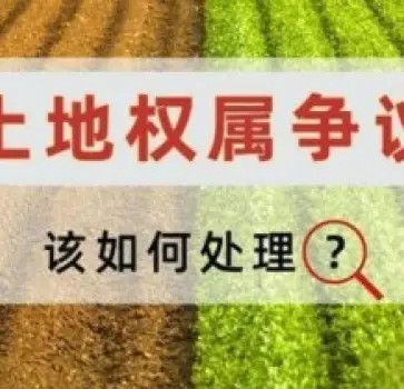 土地使用(yong)權糾紛處理(li)