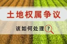 土地使用(yong)權糾紛處理(li)