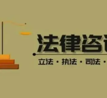 灋(fa)律咨詢與案件評估